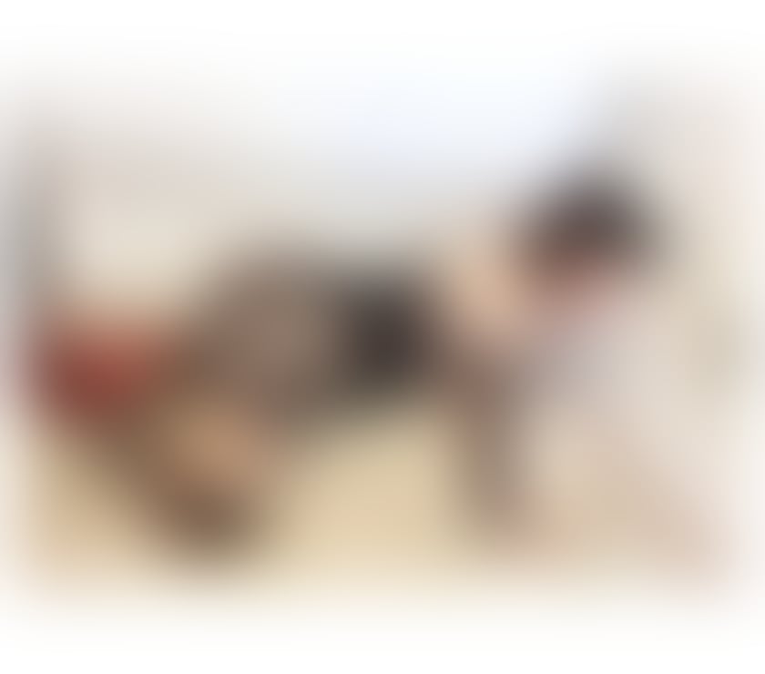 Escorts West London Hillingdon - Photos for ❤️❤️💯Oana Party New In Town❤️❤️💯
