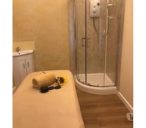Professional Swedish Massage