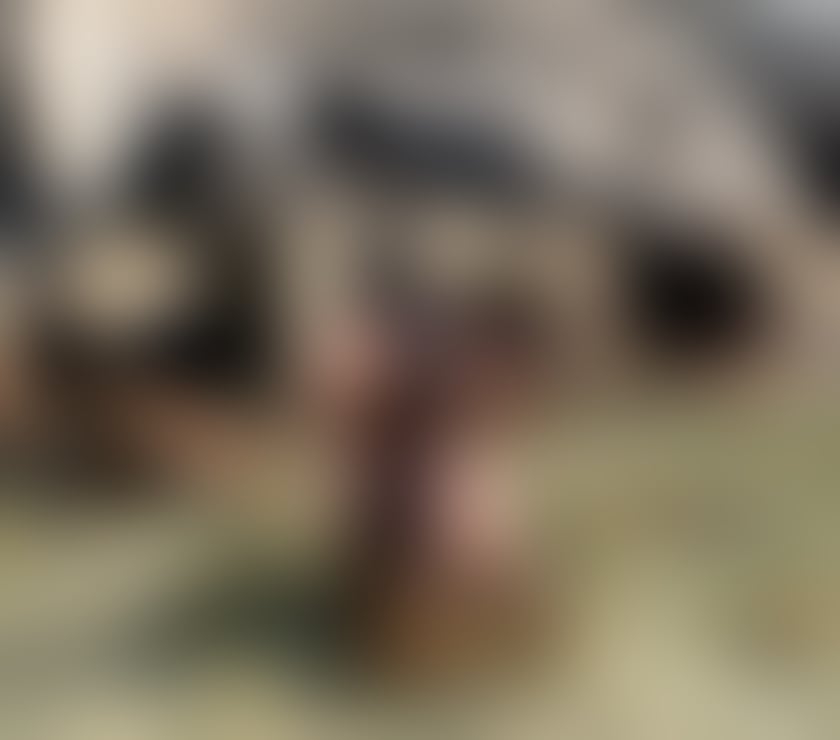 Escorts Stratford East London - Photos for Brazilian hot girl big ass