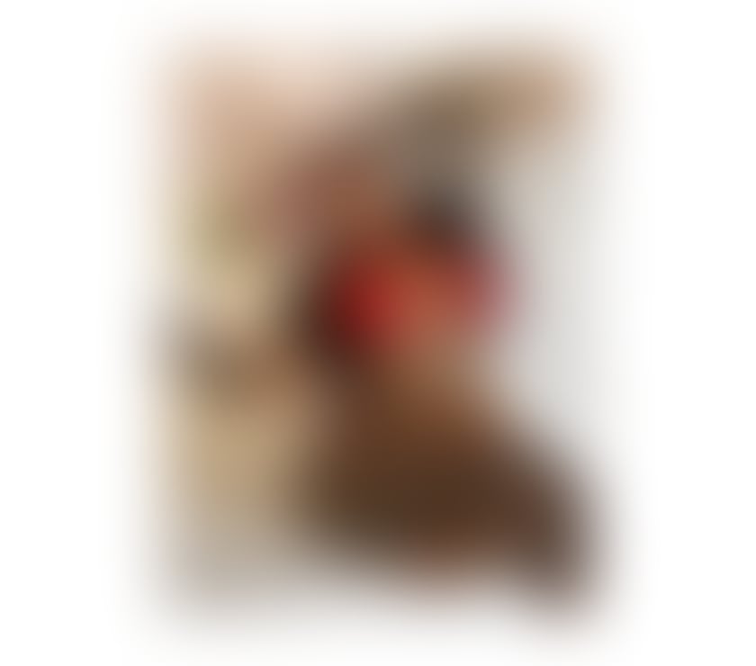 Escorts Nottinghamshire Nottingham - Photos for New Party Girl in your town sofia