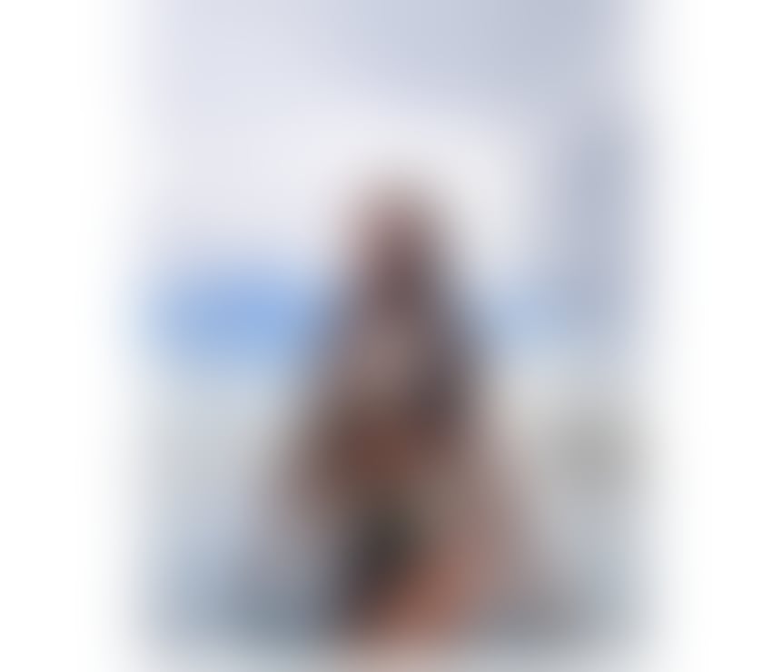Escorts West London High Street Kensington - West London - Photos for New exotic latina girl in town for few days!!!