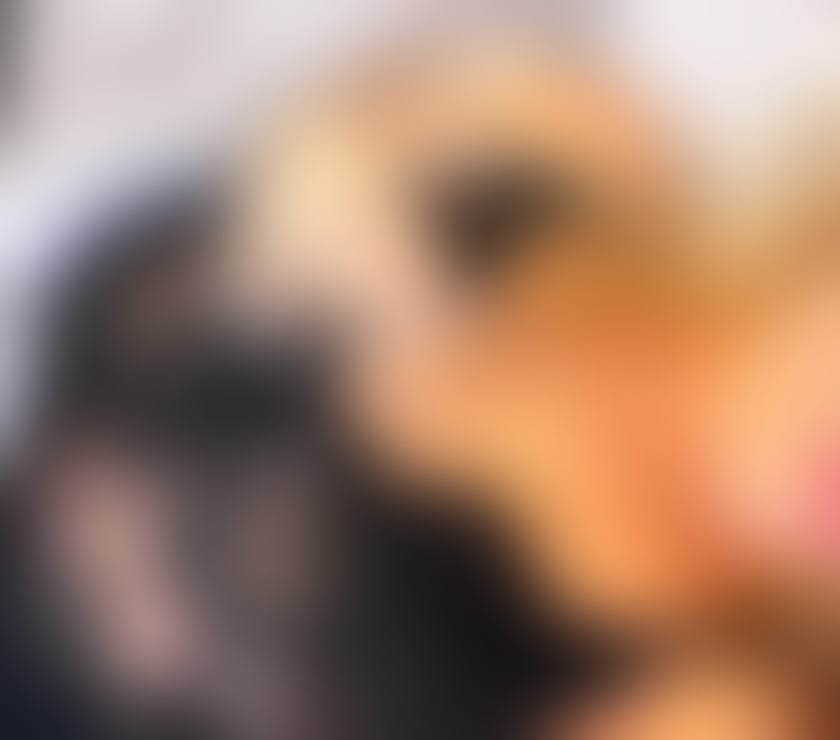Escorts Gwynedd Caernarfon - Gwynedd - Photos for tinny 3.7 my first time here🍯 come have fun 🇧🇷
