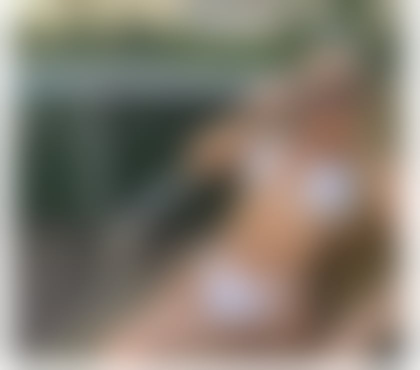 Escorts North London Edmonton - North London - Photos for ❤️‍🔥💥FRANCYNI NEW GIRL💥❤️‍🔥