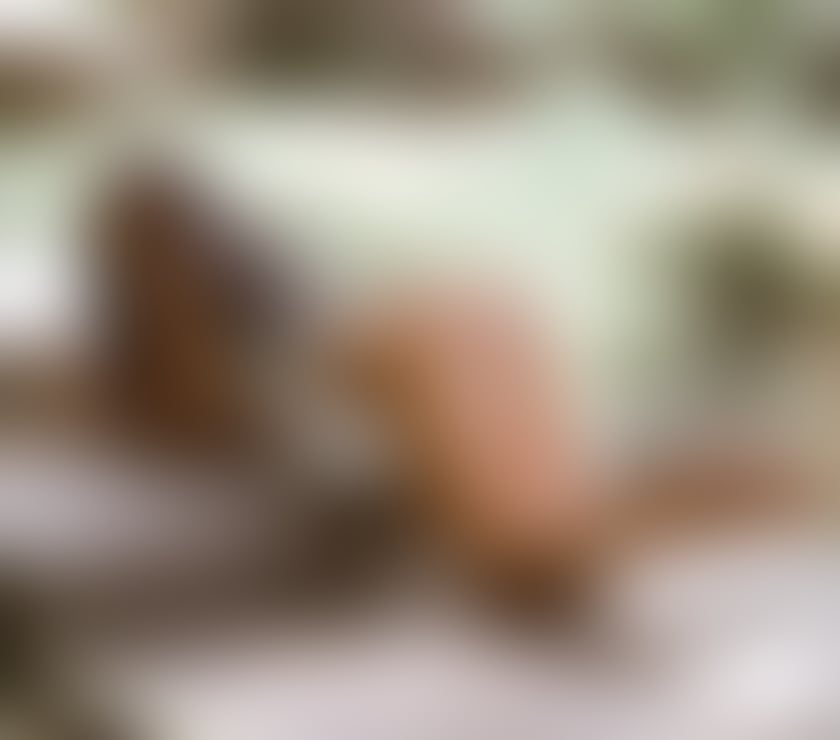 Escorts Peterborough Peterborough City Centre - Peterborough - Photos for 🍸KIM🇧🇷BEST OWO🔥🍾PARTYGIRL🍒✨