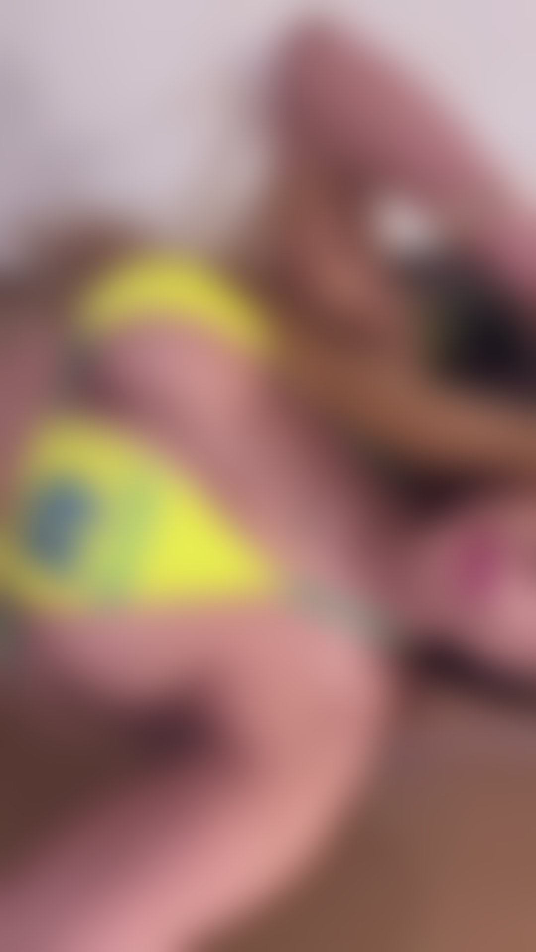 Escorts Leicestershire Leicester - 