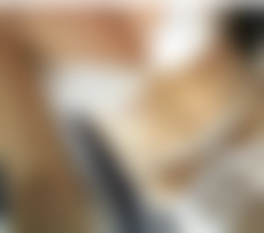 Escorts North Lanarkshire Airdrie - North Lanarkshire - Photos for Hot mature lady in Airdrie till Thursday