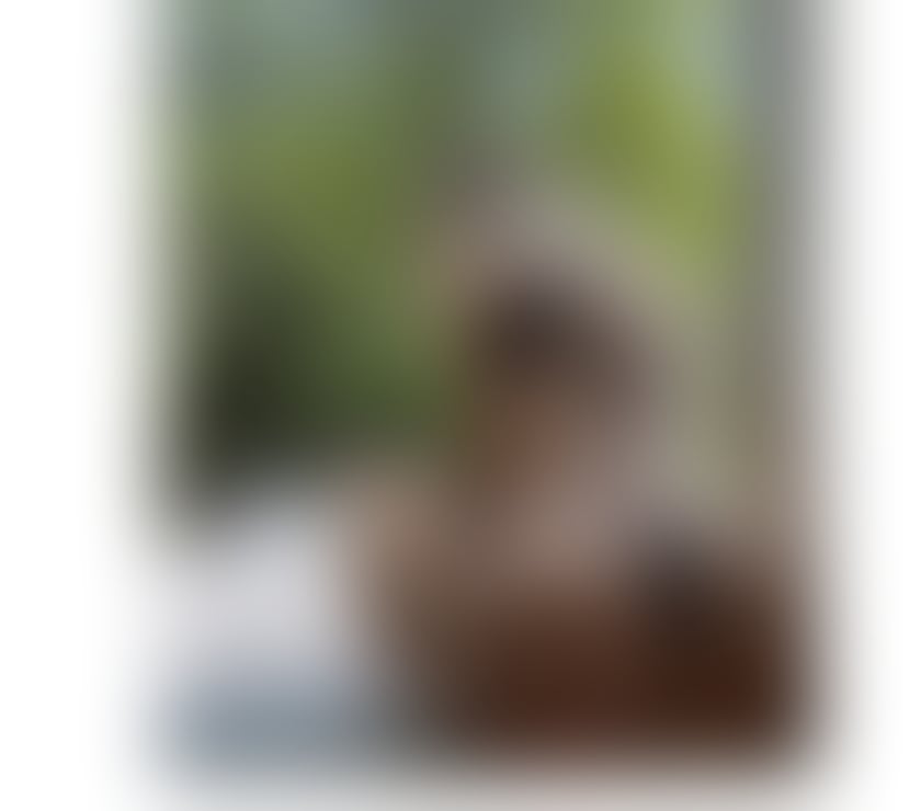 Escorts West Northamptonshire Northampton - West Northamptonshire - Photos for CAMILLA 🇧🇷 BIG ASS 🍑♥️