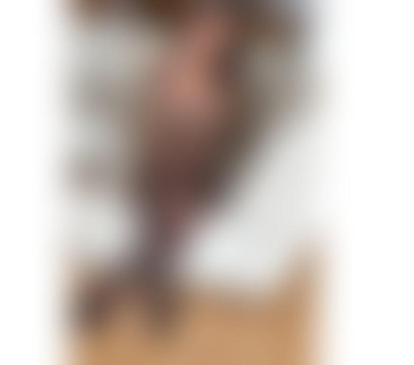 Escorts County Durham Darlington - Photos for Charlotte ladyboy