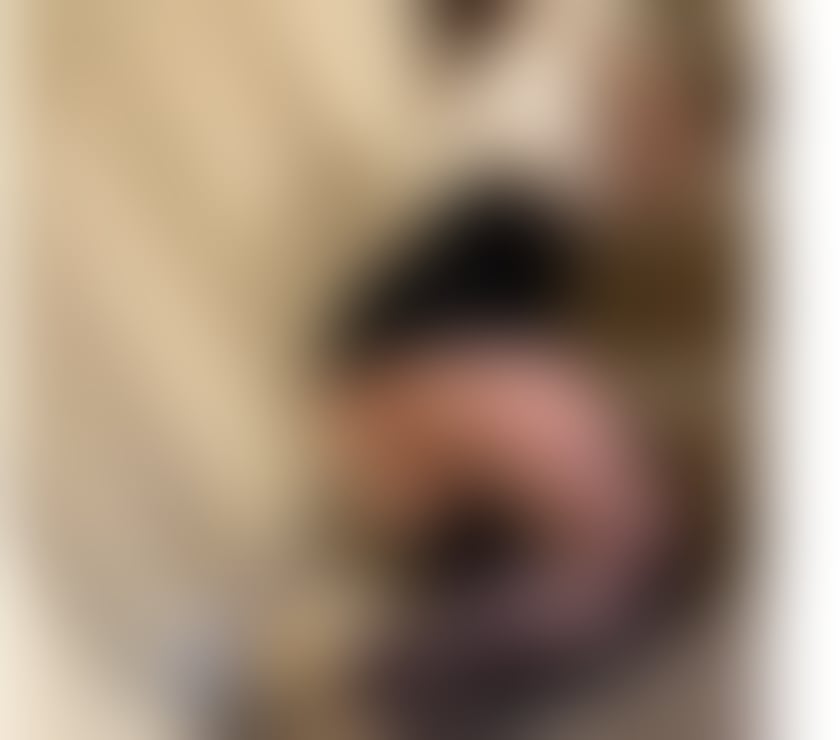  Escorts & Erotic Massage Guildford Town Centre Guildford - Photos for 🌸❤️Lett me make your dreams come true🌸❤️