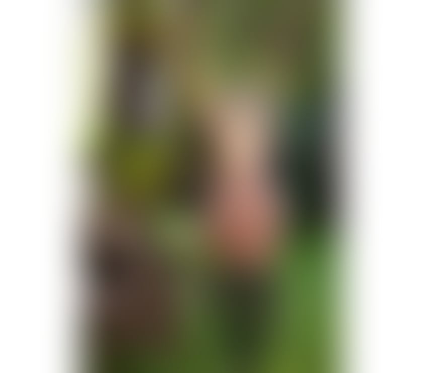 Trans Escorts West Midlands Birmingham - Photos for WANESSA HOT🔥NEW IN TOWN