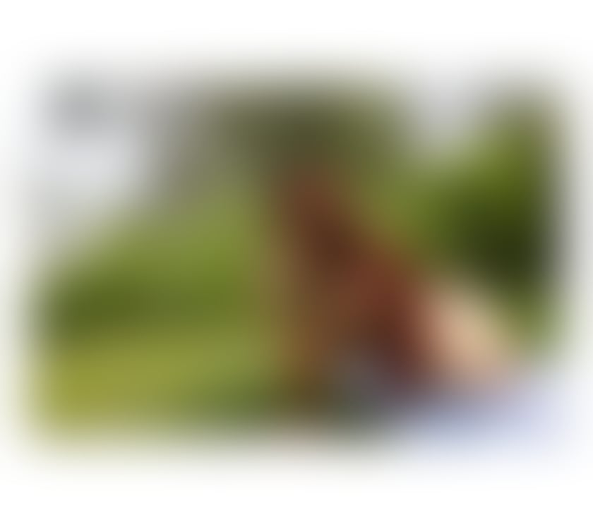 Escorts and Massages Bearsted Maidstone - Photos for Last day in Maidstone, have this experience. Unforgettable.