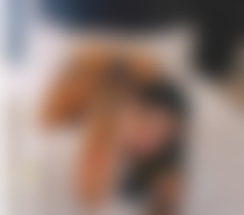 Escorts West Yorkshire Bradford - Photos for 🍑NEW IN TOWN🎉🎉 PARTY GIRL🍆🍑HAVANNA