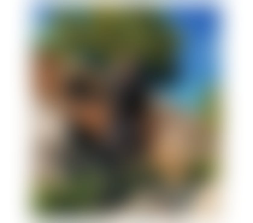 Escorts West Yorkshire Calderdale - Photos for New in your town , amber , party party