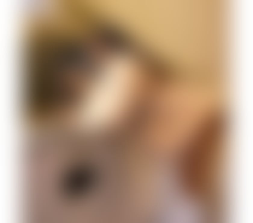 Trans Escorts Greater Manchester Manchester - Photos for Stella New in Town