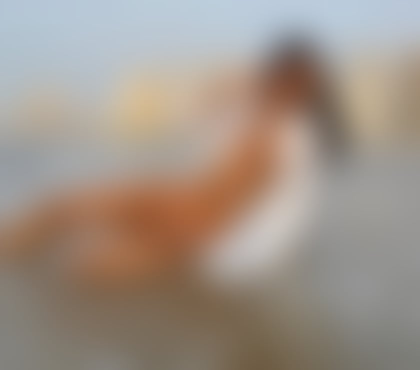 Escorts Tyne and Wear Newcastle upon Tyne - Photos for Sara 100% real, garota gostosa
