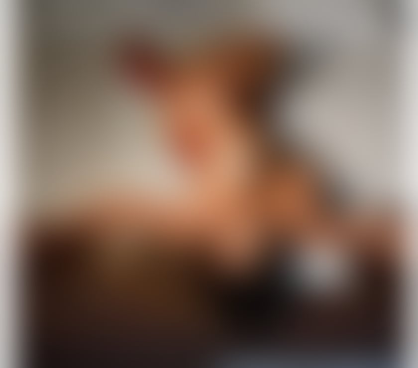 Escorts North London Enfield - Photos for Bella gfe best service party girl