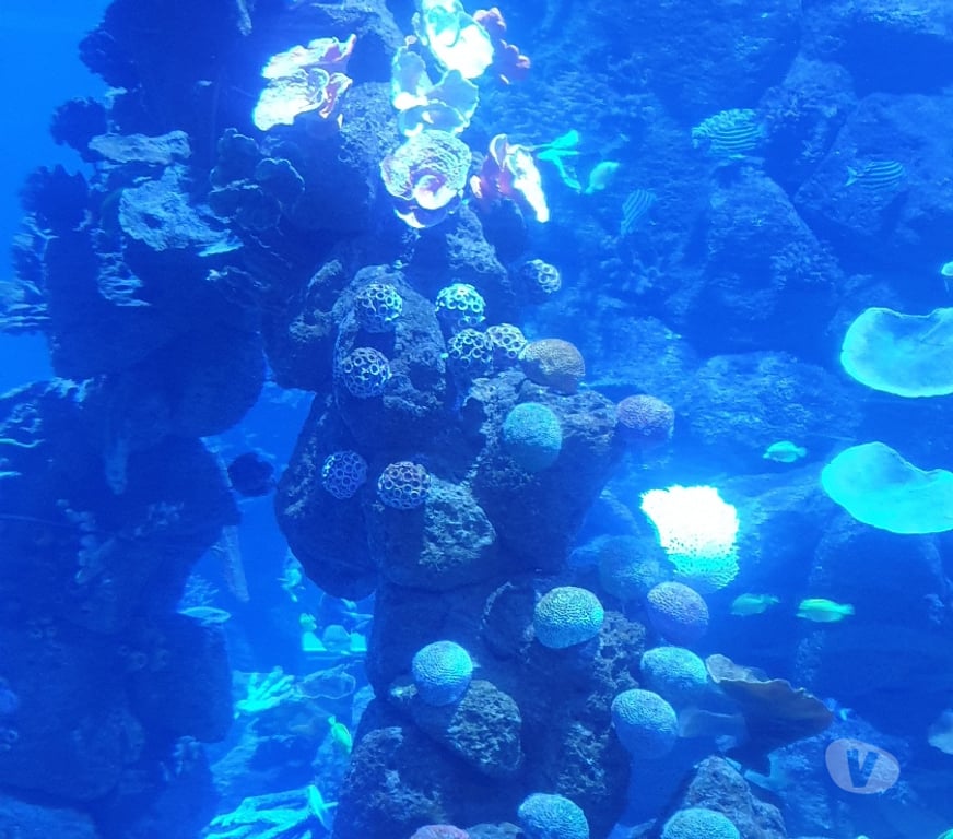 Escorts Somerset Dunball - Somerset - Photos for jackiela holistic massage