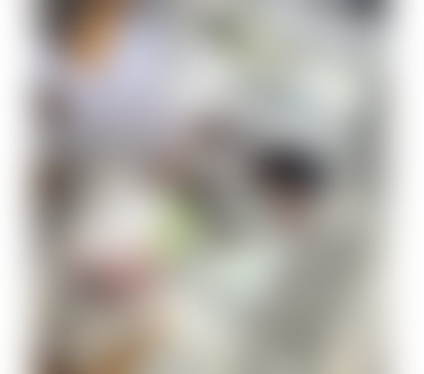 Escorts East London Canary Wharf - East London - Photos for Baby Aylla Brazilian 💗 sweet sexy girl 🧸💕Luxury GFE