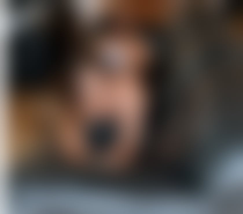 Escorts Shropshire Shrewsbury - Shropshire - Photos for NATASHA TS NEW IN TOWN PARTY ONLY OUTCALLS