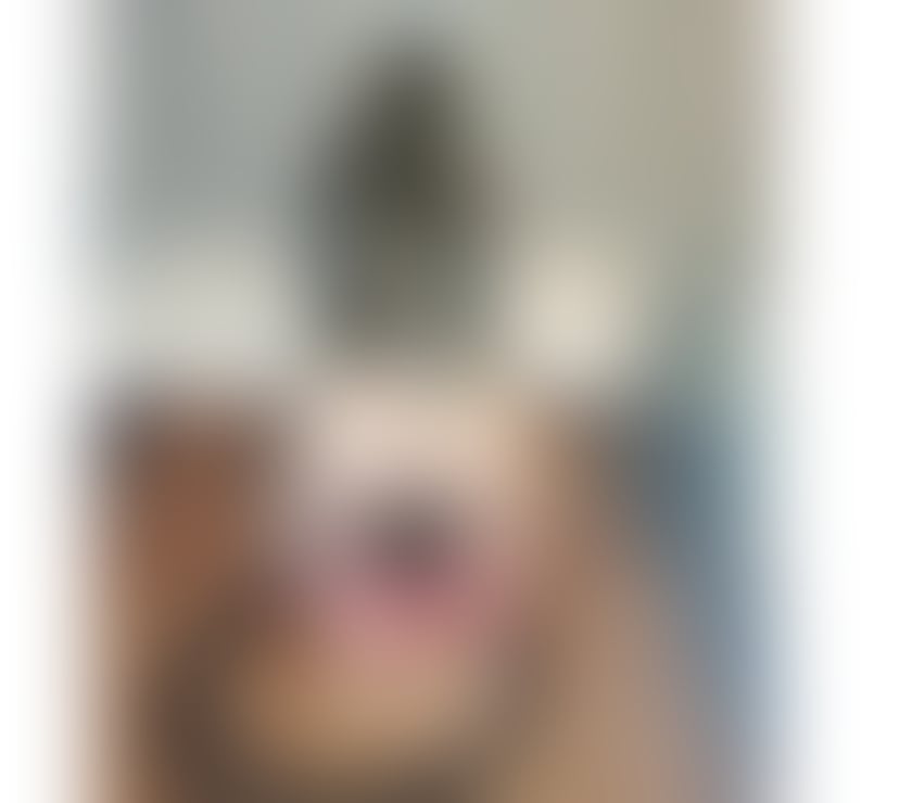 Escorts South East London Croydon - Photos for Now 💯🍑Ella best brunette delicious body 😋 PARTY🍌