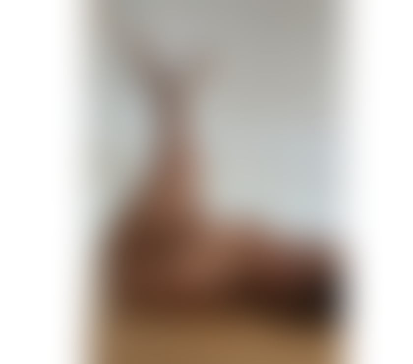 Escorts North West London Cricklewood - North West London - Photos for Real_Beauty_Pamela🦋 🩵 1h £150