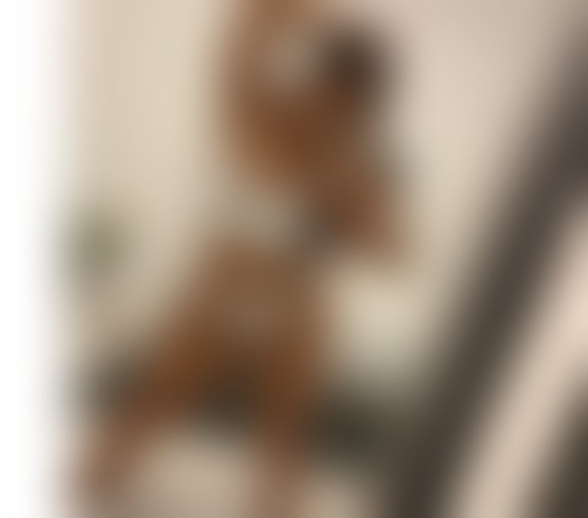 Escorts Dorset Bournemouth, Christchurch and Poole - Photos for JESSY✅NEW PARTY BEST BJ IN TOWN❤️SEXY BRUNETTE