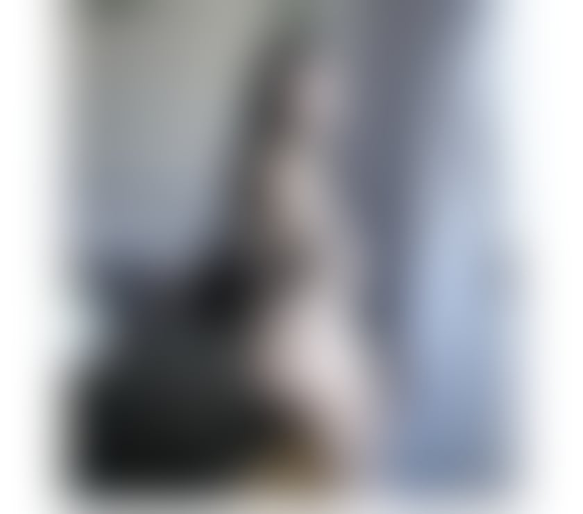 Escorts Glasgow Knightswood - Glasgow - Photos for 🎁 beautiful Asian woman is in town