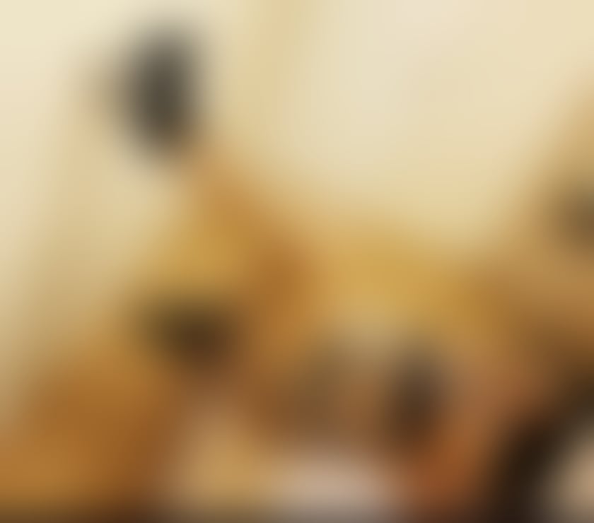 Escorts Bedfordshire Luton - Photos for 🛑Maria🛑Party girl 🛑
