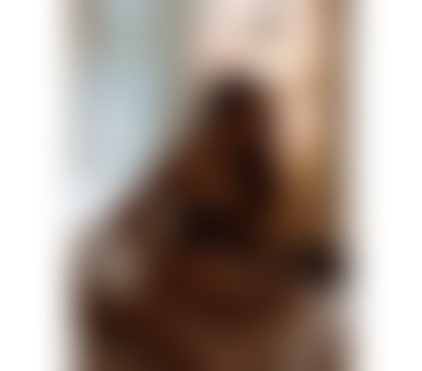 Escorts West Midlands Coventry - Photos for New in town❤️❤️call me ❤️❤️melissa
