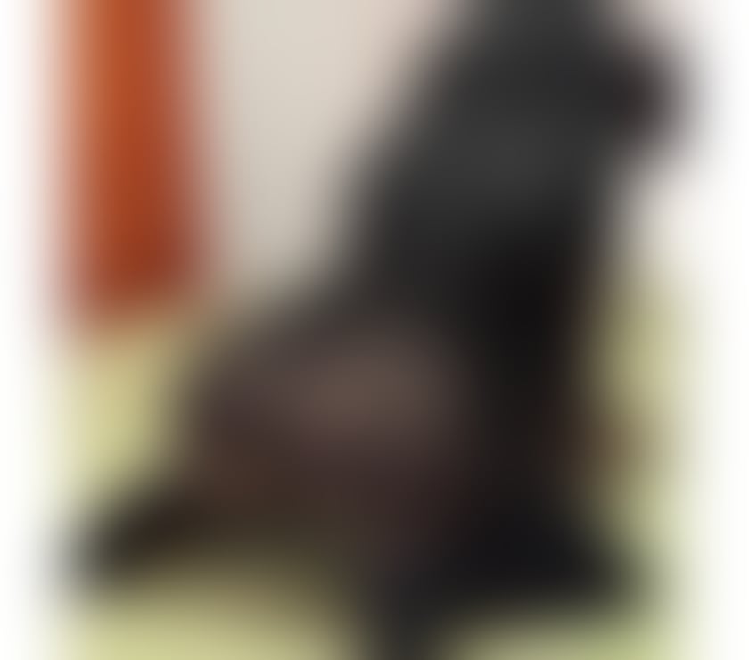 Escorts Nottinghamshire Nottingham - Photos for Amber🧸JUST ARRIVED✨️⛔️⚠️PARTY 🥂