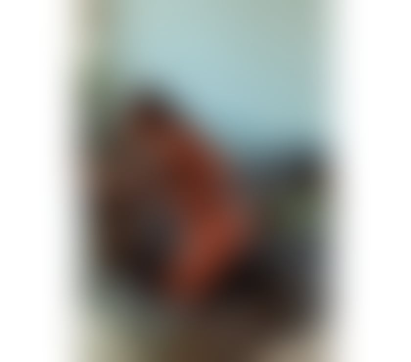 Escorts West Lothian Bathgate - West Lothian - Photos for FULL SERVICES OWO&PARTY💥24.7 aktiv