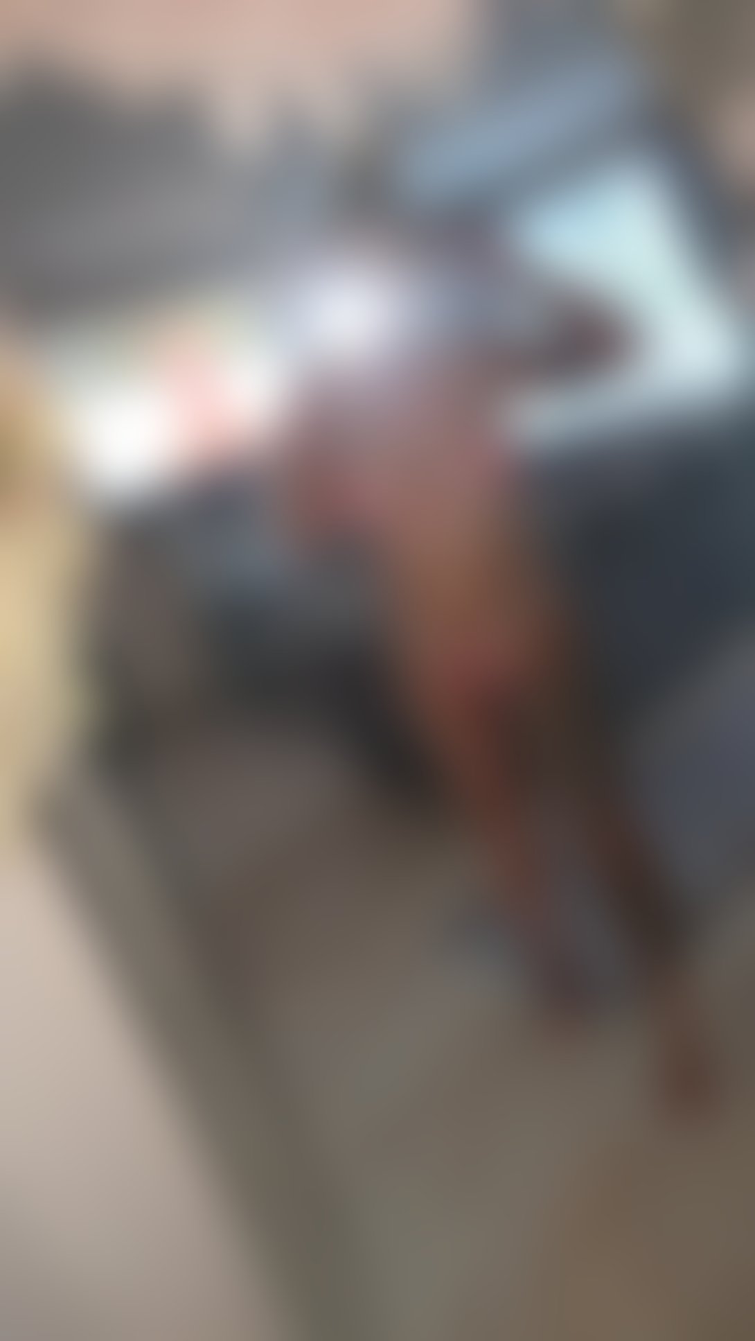 Escorts Westmorland and Furness Staveley - Westmorland and Furness - 