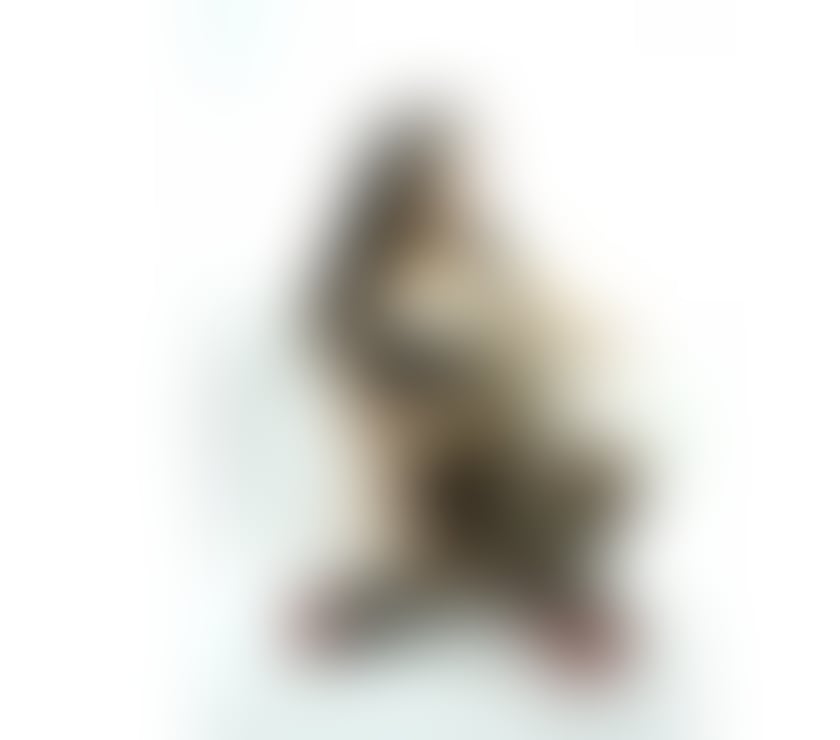 Escorts South East London Lewisham - Photos for Emily UNFORGETTABLE GIRLFRIEND EXPERIENCE & BEST BJ