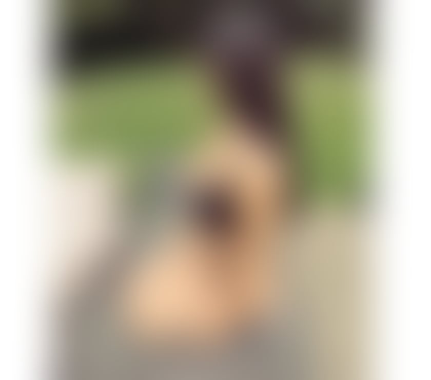 Escorts Tyne and Wear Newcastle upon Tyne - Photos for ❤️💎best services 💎❤️brunete latino girl ❤️