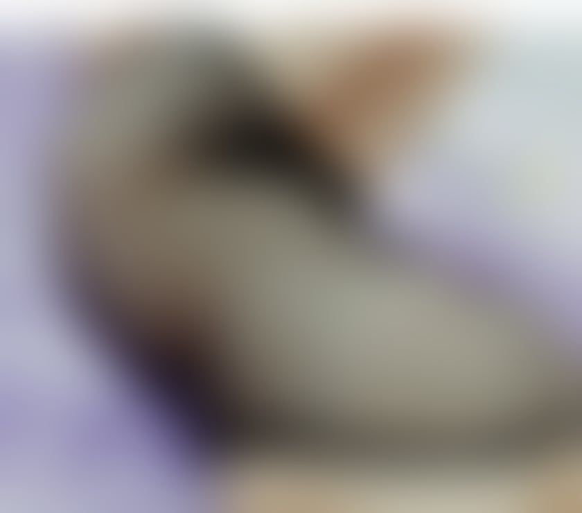 Escorts Cambridgeshire South Cambridgeshire - Photos for Hey bby call me Have fun togheter 🫦 x