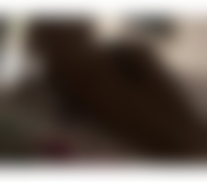 Escorts Greater Manchester Salford - Photos for ‼️ Ultimate Erotic Body-to-Body Massage ‼️