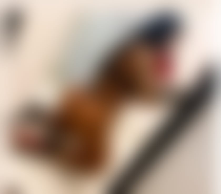 Escorts Derbyshire Chesterfield - Photos for Hello i am Adelle just come in yours town❌party