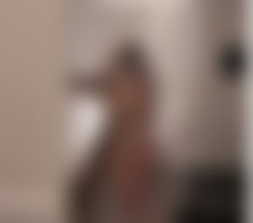 Escorts Devon Plymouth - Photos for Daisy 🔞 BIG NATURAL TITS 🤯 AMAZING OWO 🤪