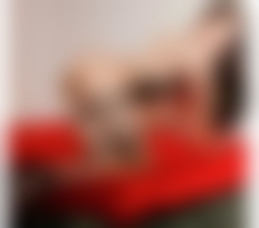 Escorts County Durham West Rainton - County Durham - Photos for ❤️‍🔥Zoey SEXY THAI LADYBOY ✅ New in WEST RAINTON