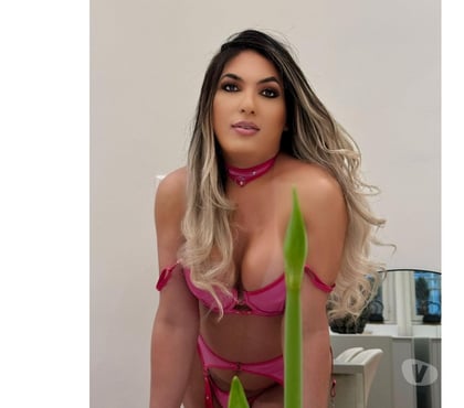 Trans Escorts Sheffield City Centre Sheffield - Photos for Pamela meclayne
