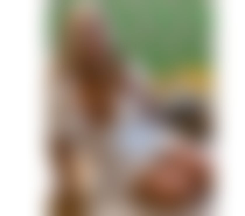 Escorts Worcestershire Worcester - Photos for Magiclondon69 One ☝🏻 week Curvy Milf 😍