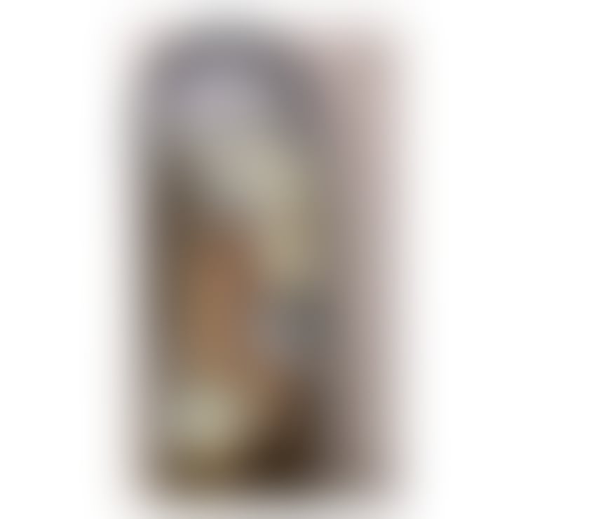 Trans Escorts Chester Cheshire West and Chester - Photos for SOFIA FOCHESATTO ✨️IN CHESTER✨️