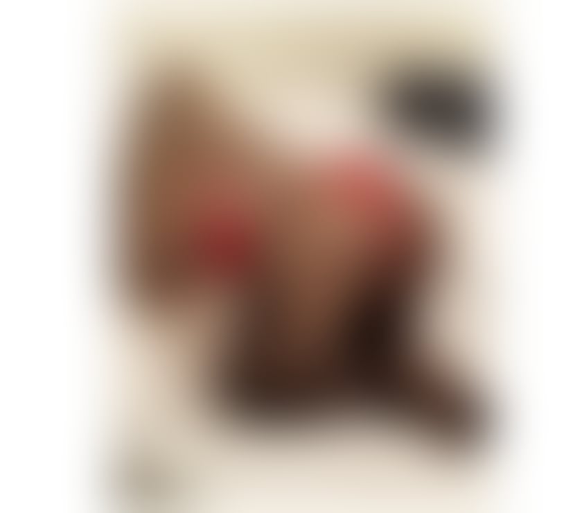 Escorts Gwynedd Bangor - Gwynedd - Photos for KARINA INCALL AND OUTCALL 😇😇😇