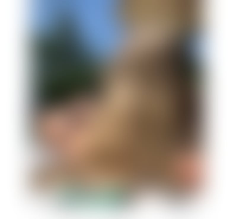 Escorts Newport - Wales Newport City Centre - Newport - Photos for BELLA PARTY GIRL 24H ♥️. REAL PICS 🔥 LEVEL A