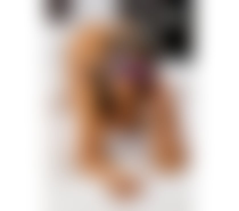 Escorts Turnpike Lane Station Harringay - North London - Photos for 🇧🇷SHEILA💯REAL PICS ❣️SWEET AND SEXY