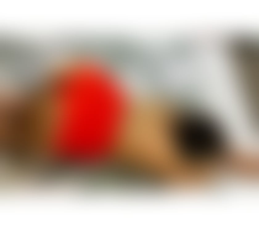 Escorts South Yorkshire Sheffield - Photos for ROSA IS BACK PARTY GIRL READY FOR YOU
