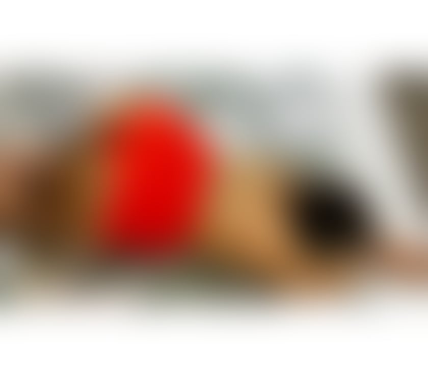 Escorts South Yorkshire Sheffield - Photos for MYA 🫦 Real picture 💯❤️Curvy girl new