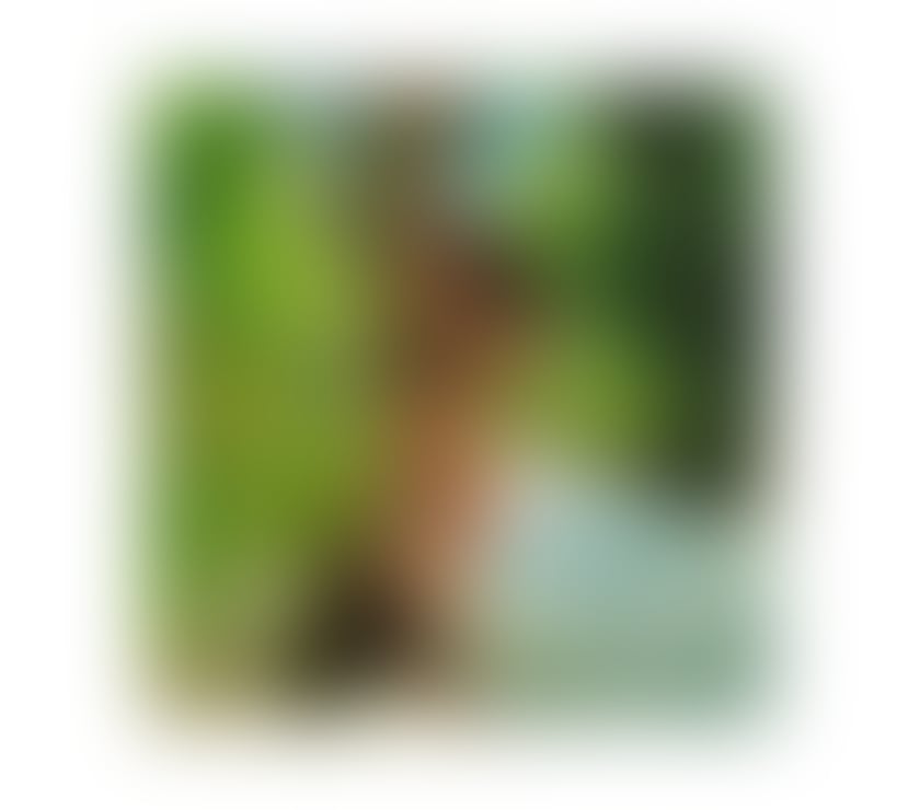 Escorts Essex Southend-on-Sea - Photos for Monika💯Brunette❤️Genuine💕NO RUSH
