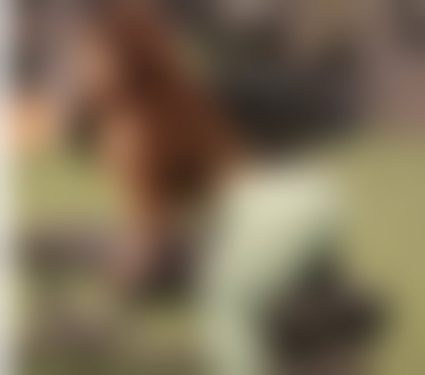 ❤️Lovely girl❤️best gfe❤️Jade little woman❤️