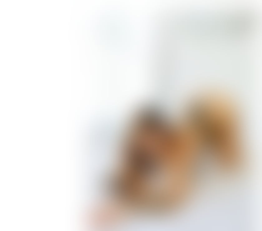 Escorts West Sussex Worthing - Photos for New Brazilian 🇧🇷 in town 🇧🇷🔥🍯♦️